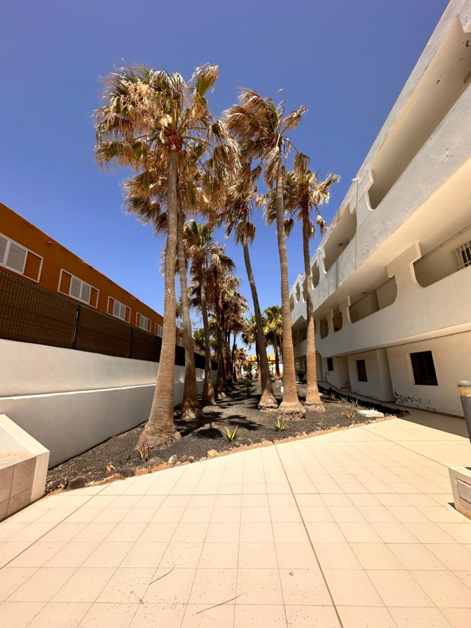 דירות קוסטה דה אנטיגואה Casa Isabel מראה חיצוני תמונה